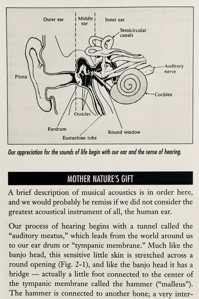 The middle ear works like a banjo head ;-)